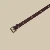 NÍCOLI CinturÓn estrellas hebilla dorada marrÓn< Cinturones | Cinturones
